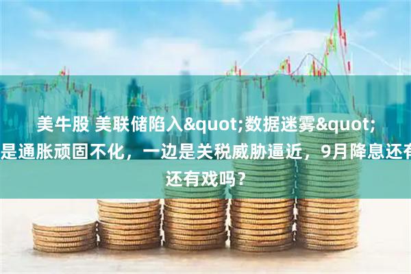 美牛股 美联储陷入"数据迷雾"：一边是通胀顽固不化，一边是关税威胁逼近，9月降息还有戏吗？