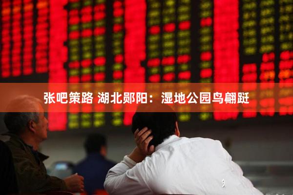 张吧策路 湖北郧阳：湿地公园鸟翩跹